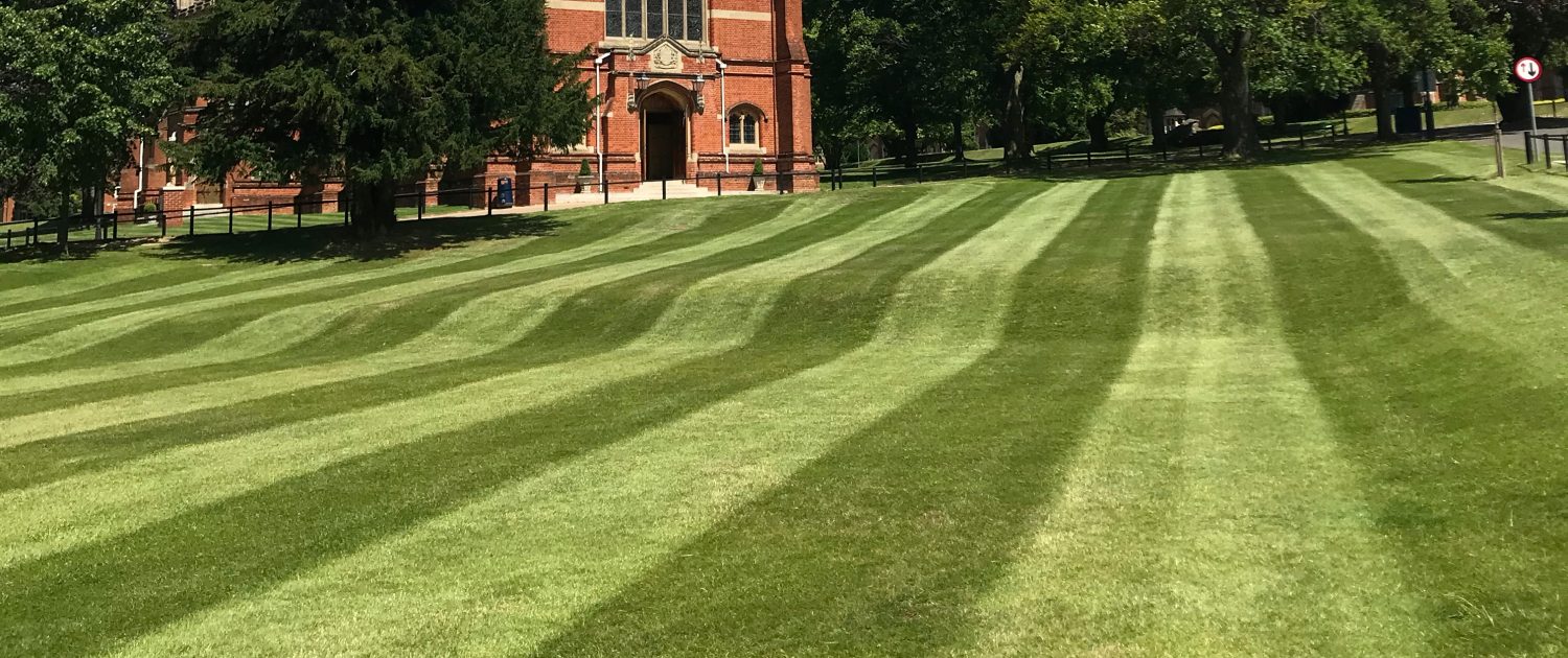 Grounds maintenance contractor in Surrey Commercial Grounds Care Ltd