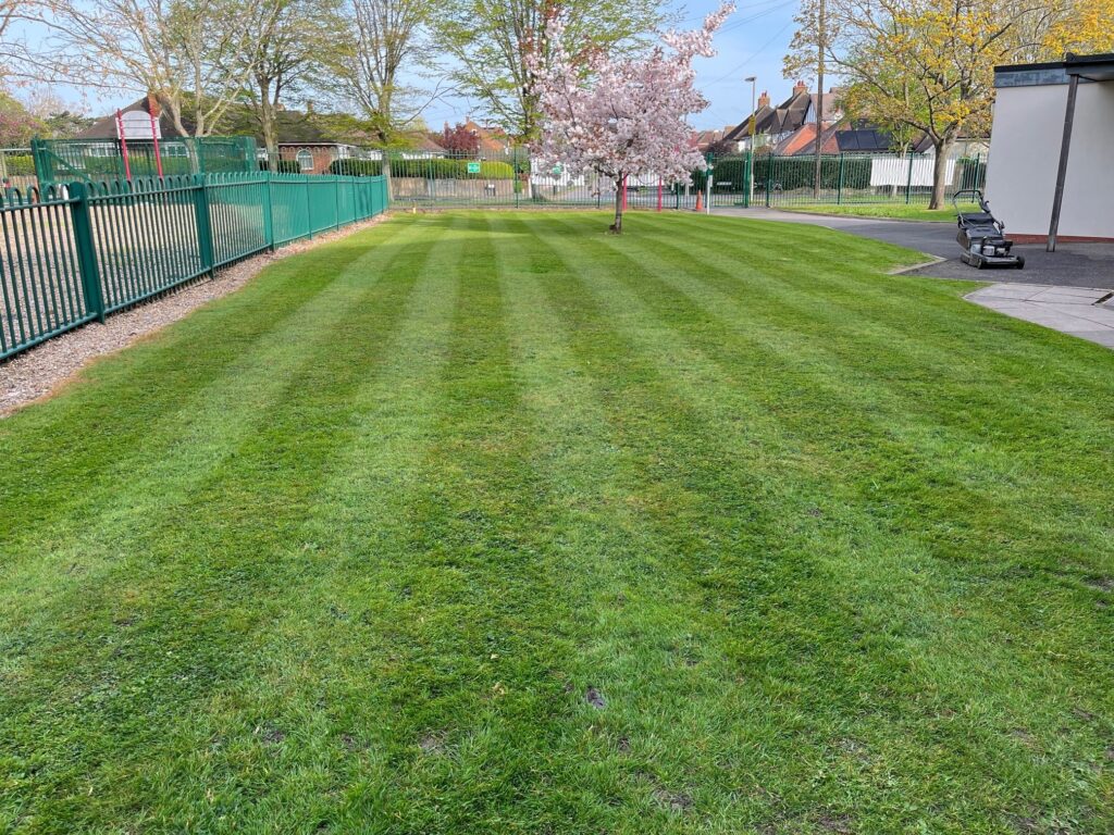Cuddington Spring 2026 Matthew Bennett